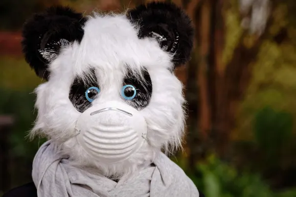 HeySpin Casino Podrška